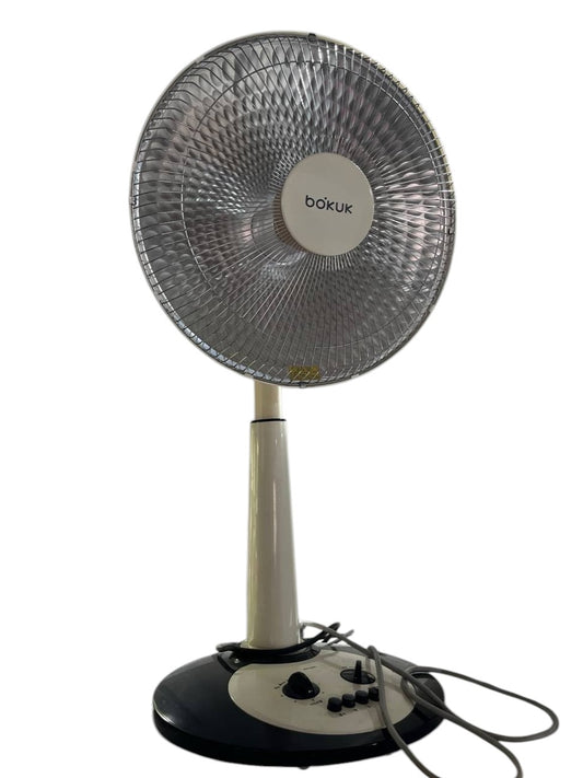 Electric Fan
